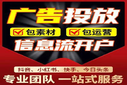 行业领先企业的SEM代理案例剖析